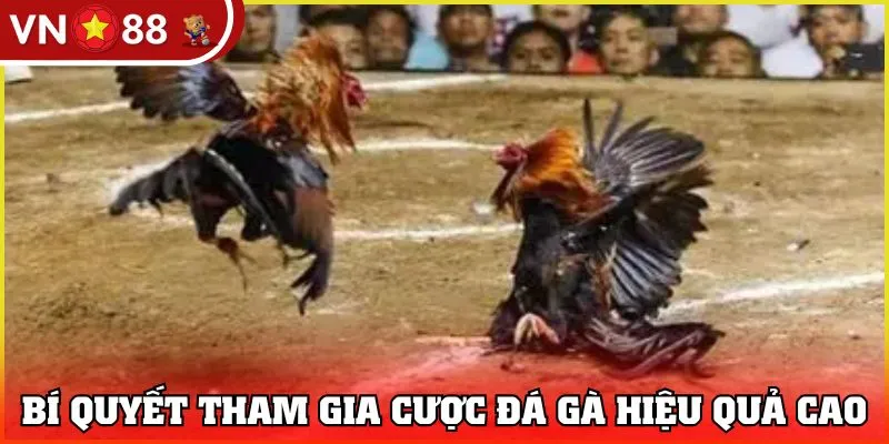 Bí quyết tham gia cược đá gà hiệu quả cao