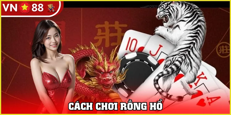 cách chơi rồng hổ