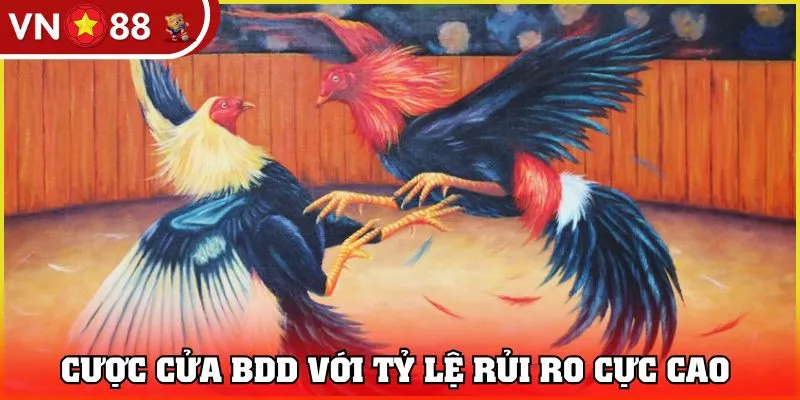 Cược cửa BDD với tỷ lệ rủi ro cực cao 