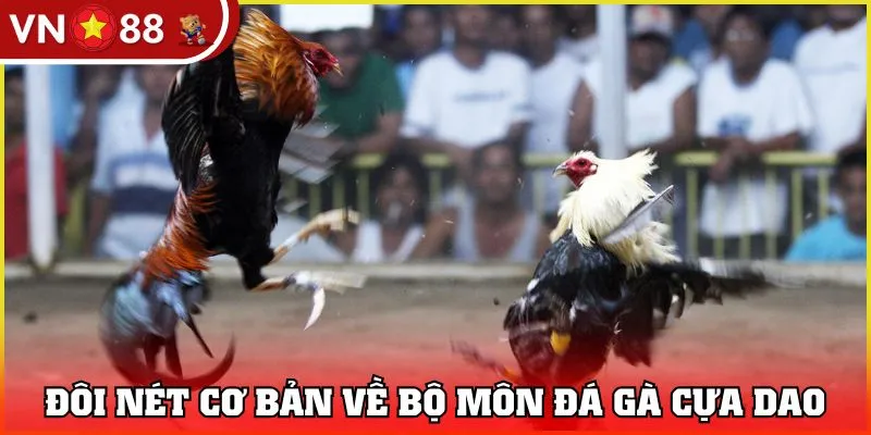Đôi nét cơ bản về bộ môn đá gà cựa dao