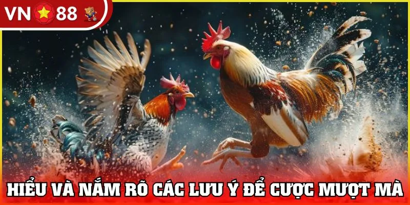 Hiểu và nắm rõ các lưu ý để cược mượt mà 