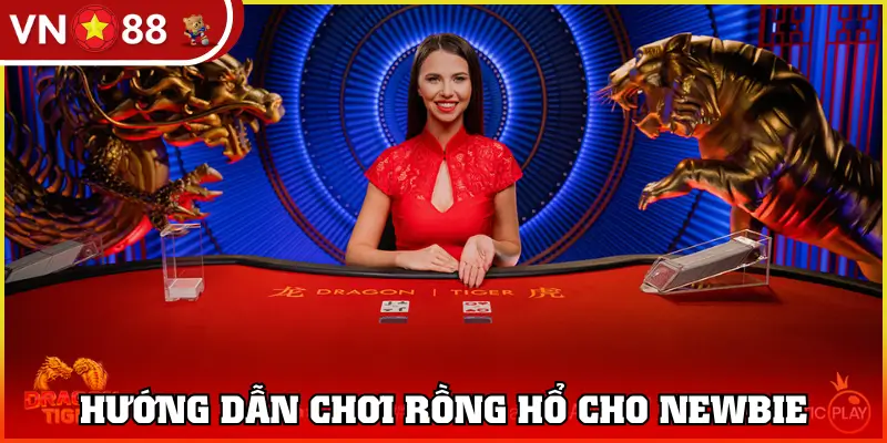 Hướng dẫn chơi rồng hổ cho newbie