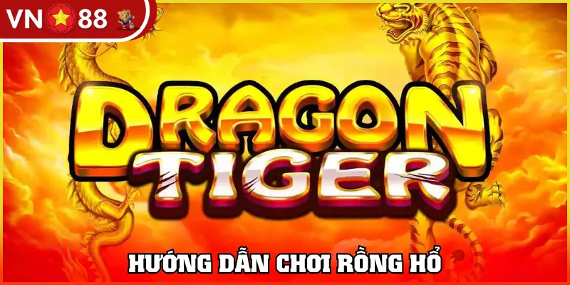 hướng dẫn chơi rồng hổ