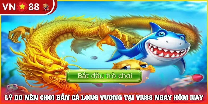 Lý do nên chơi bắn cá Long Vương tại VN88 ngay hôm nay