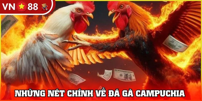 Những nét chính về đá gà Campuchi