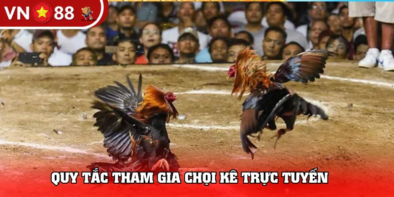 Quy tắc tham gia chọi kê trực tuyến