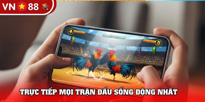 Trực tiếp mọi trận đấu sống động nhất